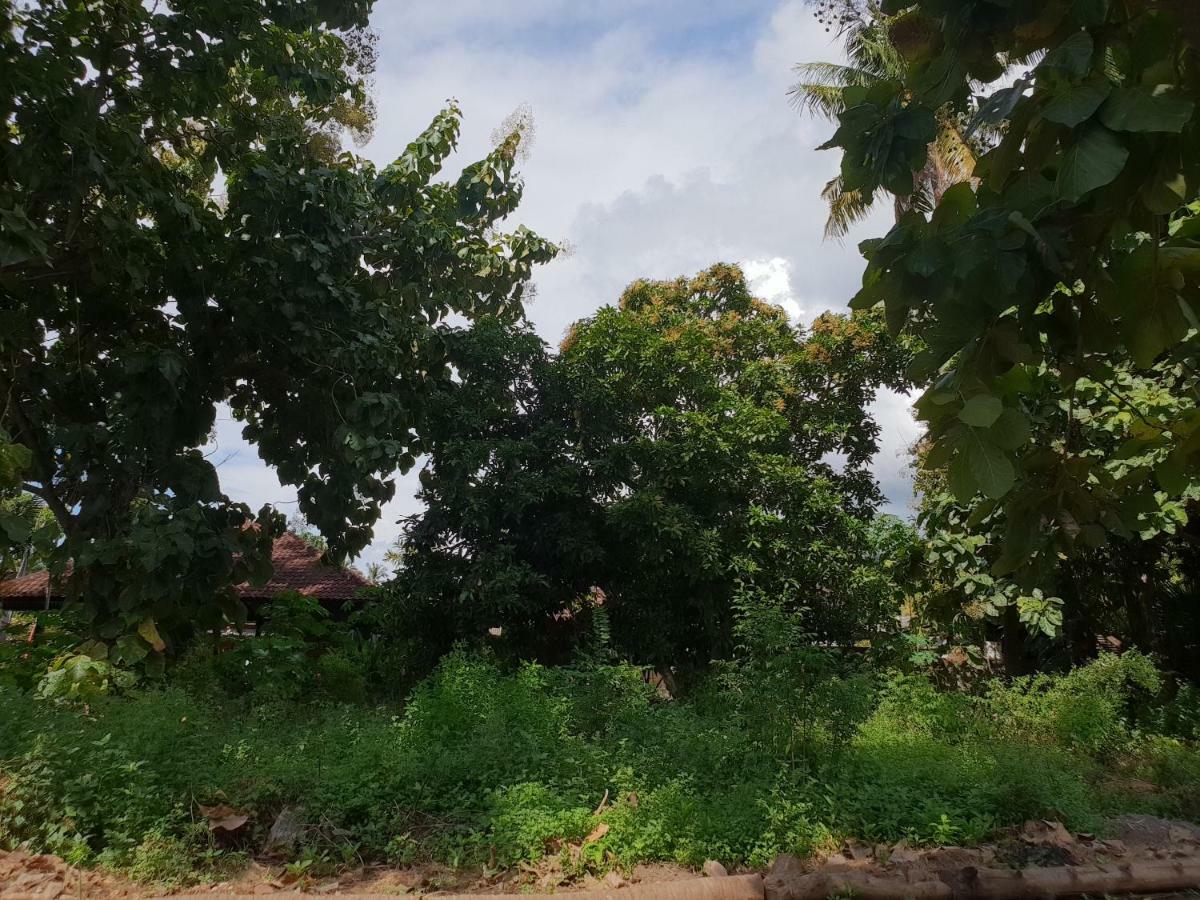 Apel Homestay Pemuteran  Bagian luar foto